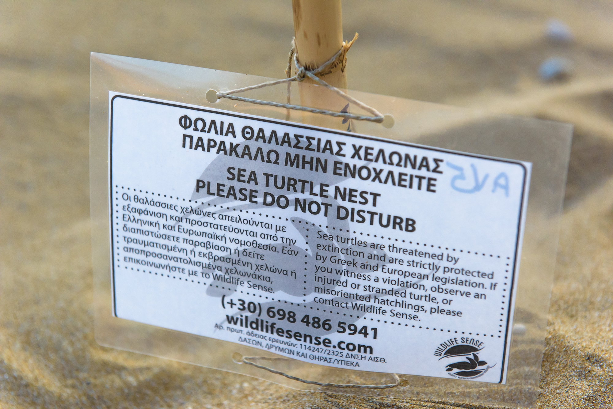Protected loggerhead turtle nest signage on a beach in Kefalonia