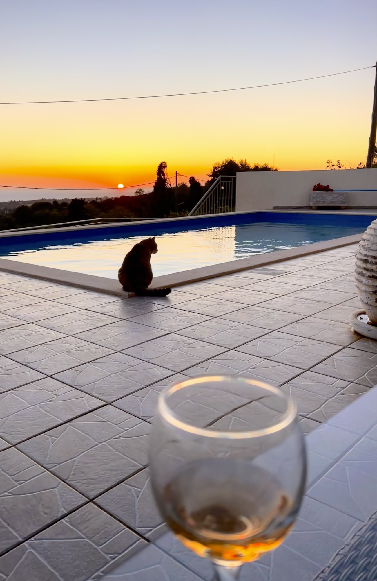 The villa cat watching the sun set over the Ionian beside the pool