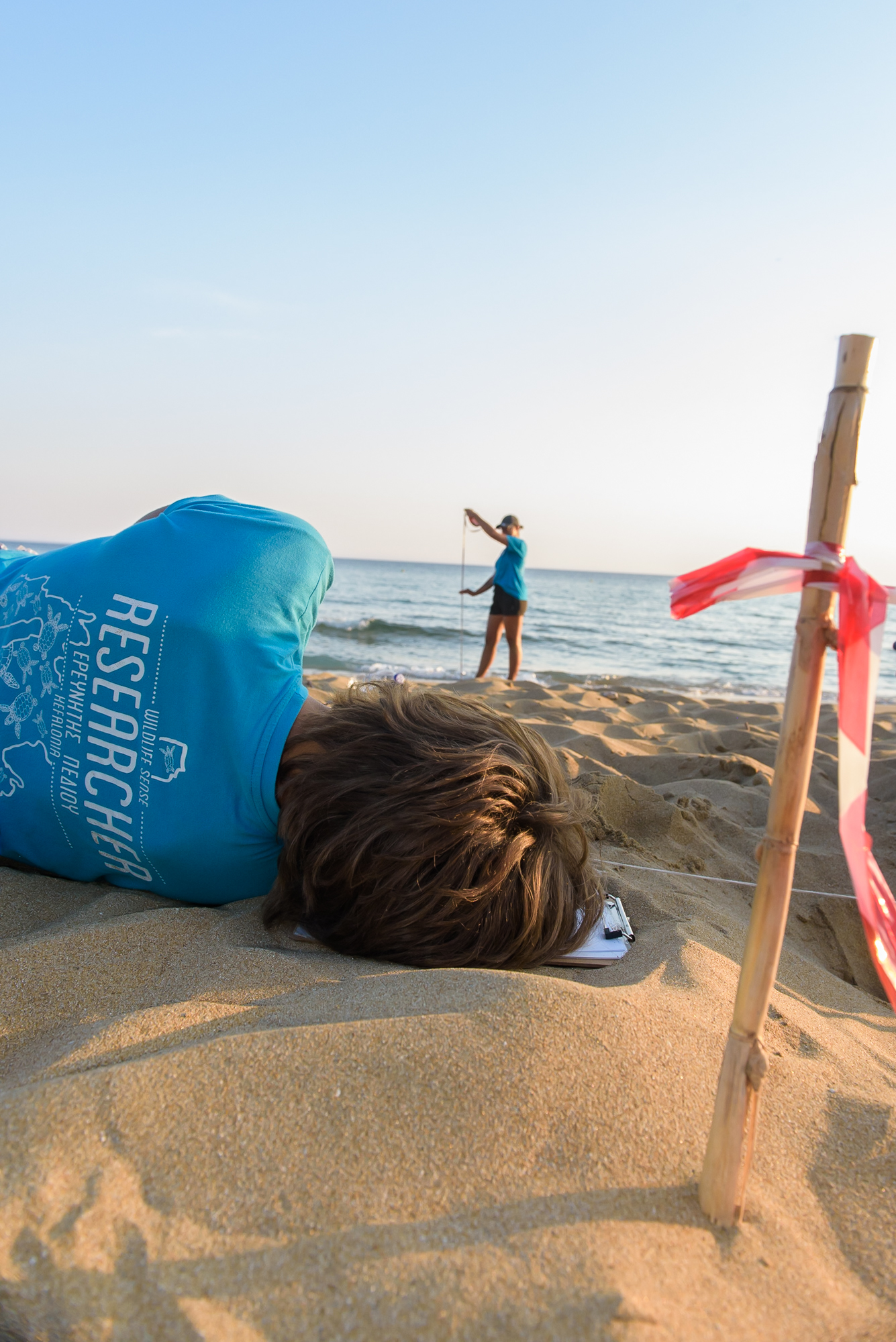 Measuring the depth of a relocated loggerhead turtle nest in Kefalonia