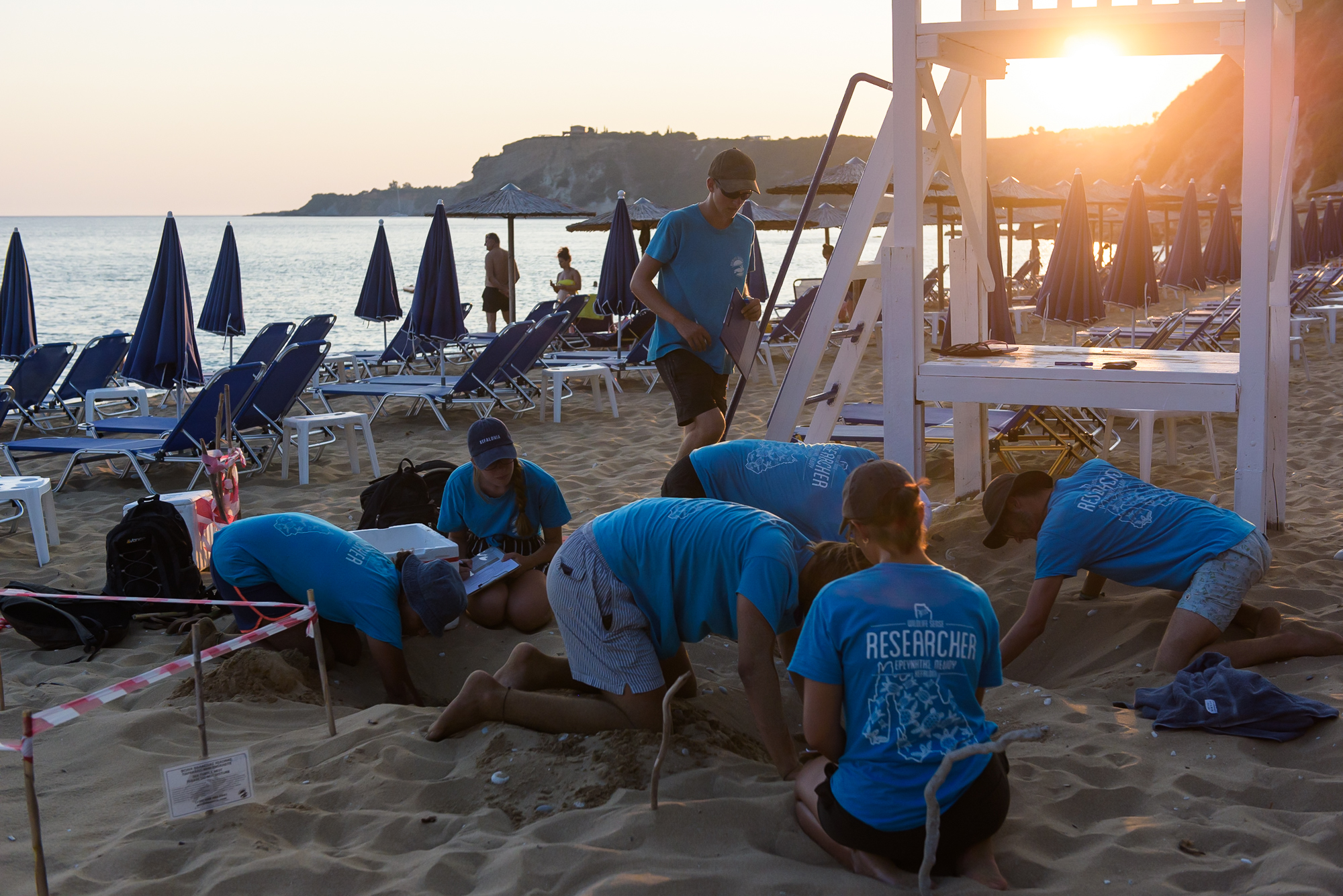 Conservation volunteers relocating a vulnerable turtle nest in Kefalonia